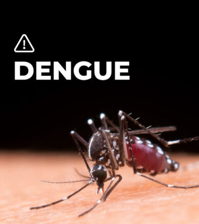 DENGUE-