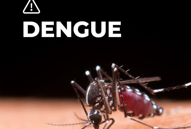 DENGUE-